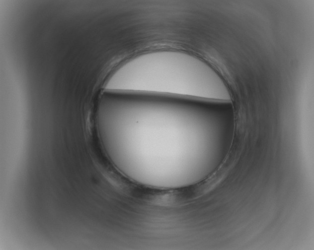 X0000110910116200906181014