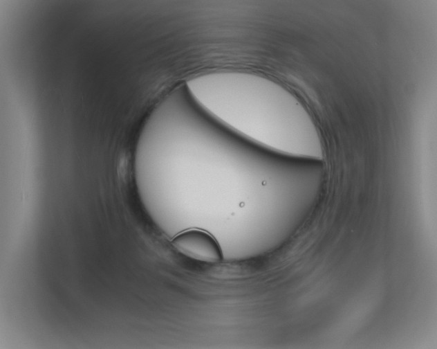 X0000110910123200906181014