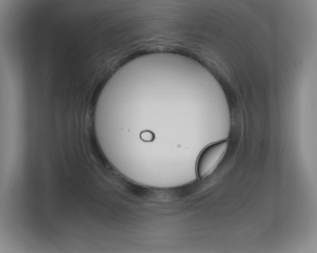 X0000110910127200906181014