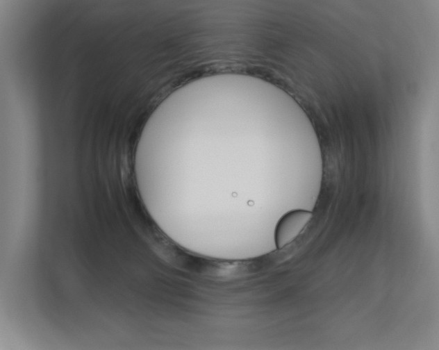 X0000110910130200906181014