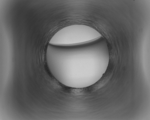 X0000110910139200906181013