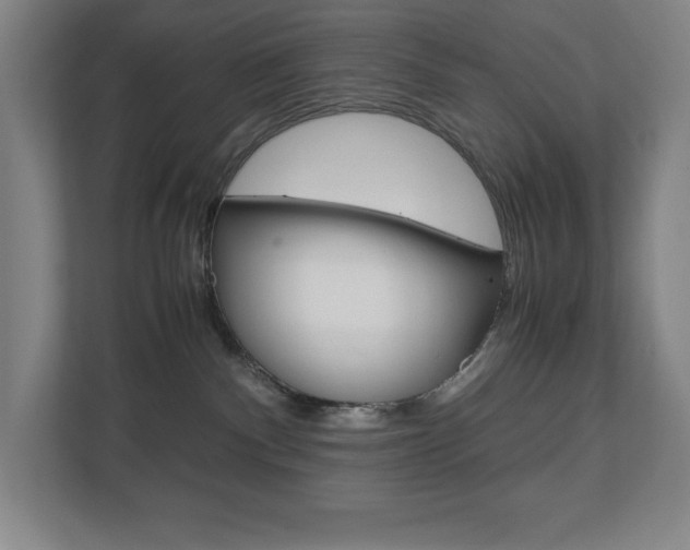 X0000110910140200906181013