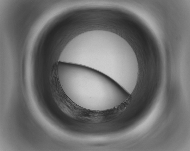 X0000110910143200906181013