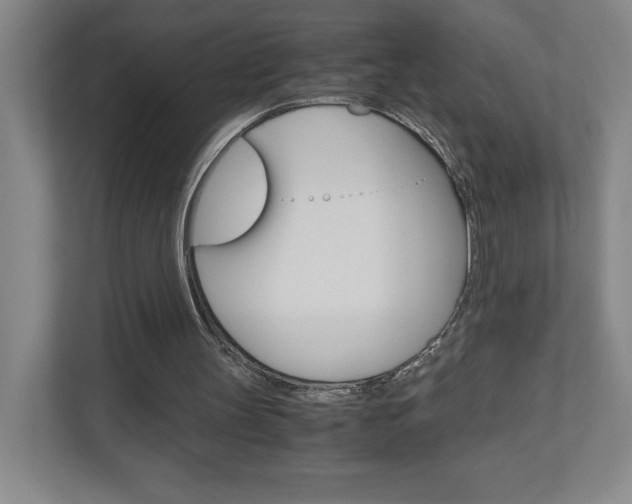 X0000110910147200906181013