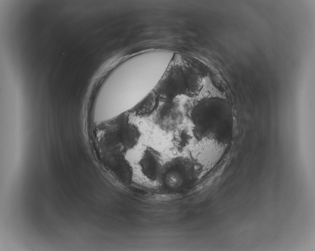X0000110910149200906181013