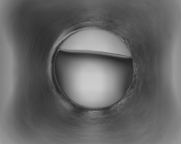 X0000110910150200906181013