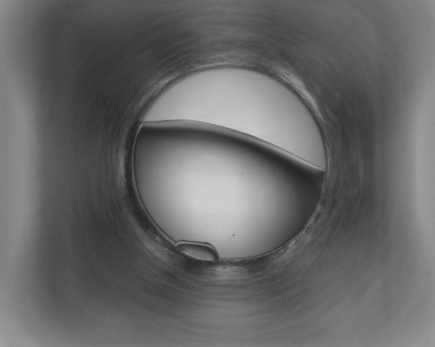 X0000110910154200906181013