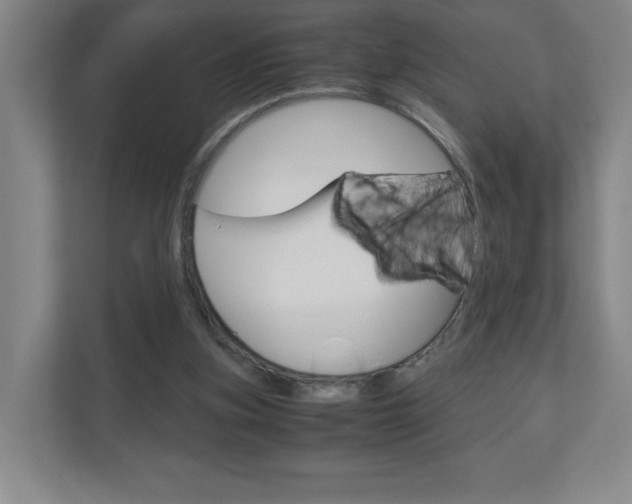 X0000110910155200906181013