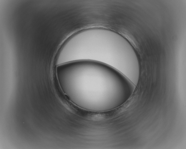 X0000110910156200906181013