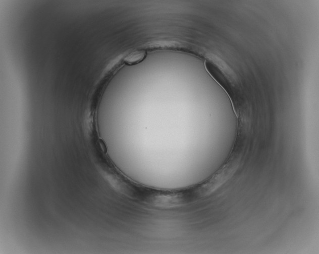 X0000110910160200906181013
