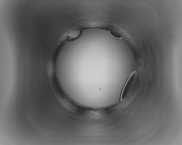 X0000110910164200906181013