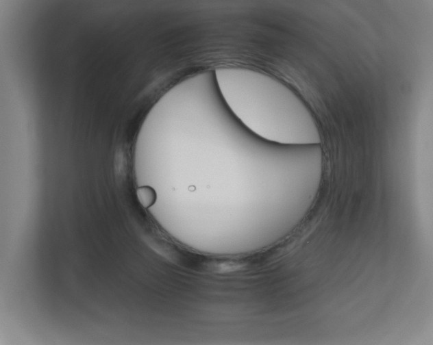 X0000110910165200906181013
