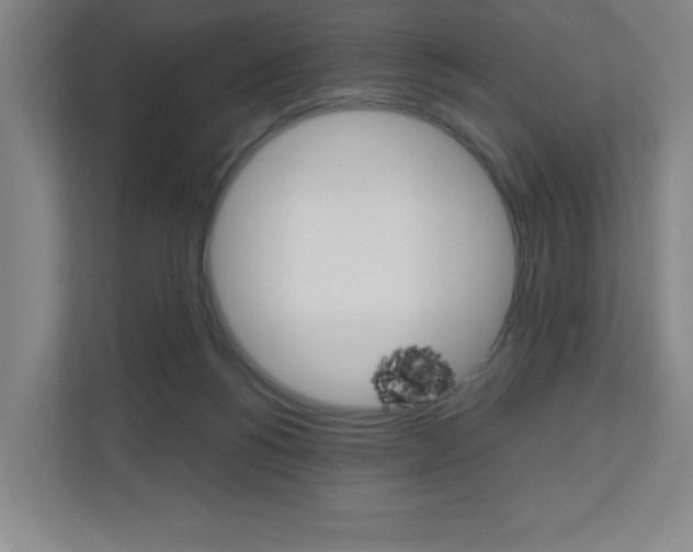 X0000110910168200906181013