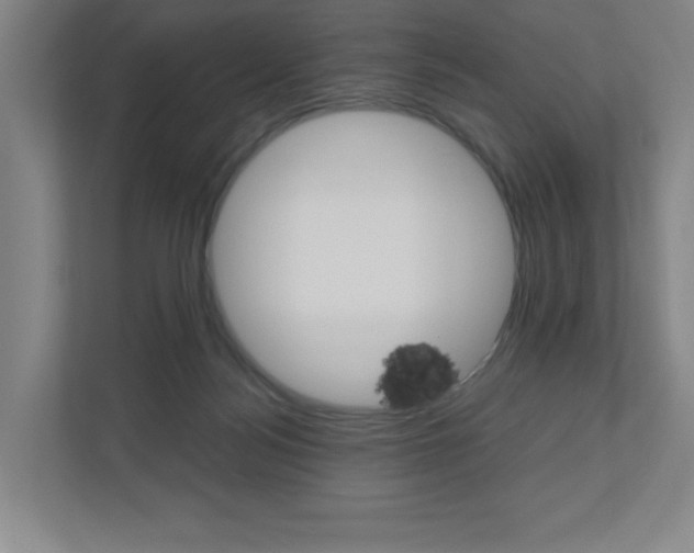 X0000110910172200906181013