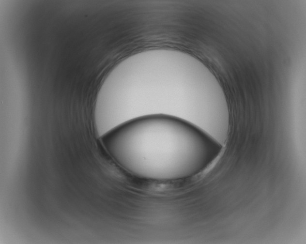 X0000110910174200906181013