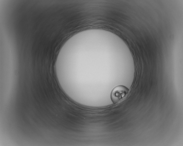 X0000110910180200906181013