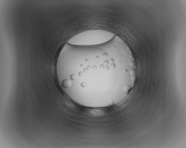 X0000110910183200906181013