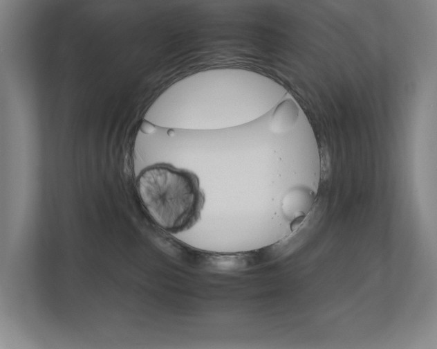 X0000110910187200906181013