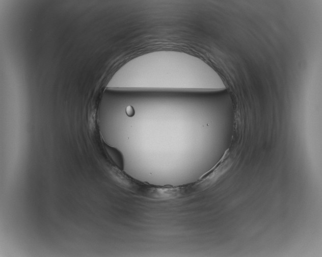 X0000110910188200906181013