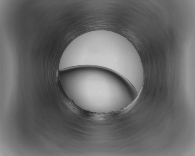 X0000110910190200906181013