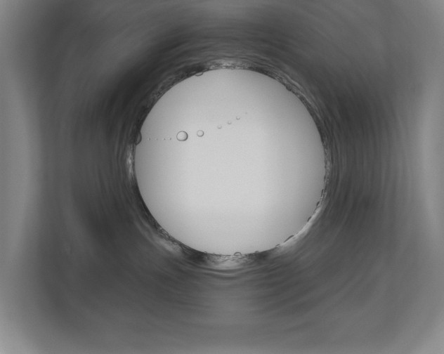X0000110910191200906181013