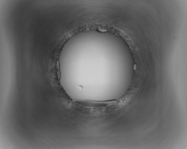 X0000110910192200906181013