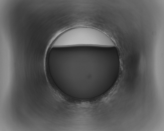 X0000110910196200906181013
