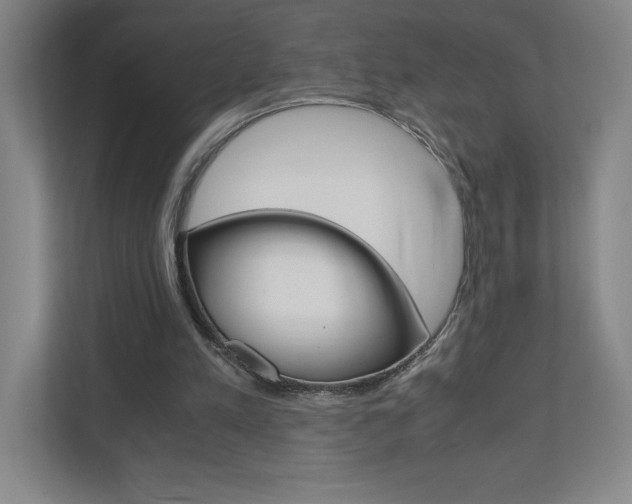X0000110910197200906181013