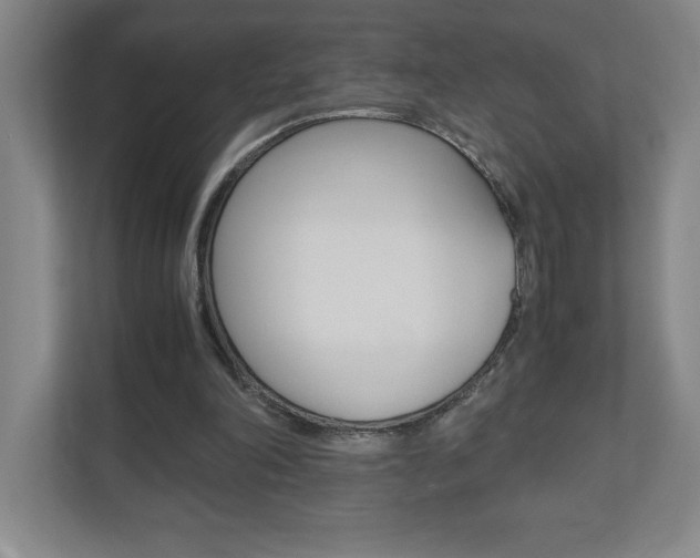 X0000110910198200906181013