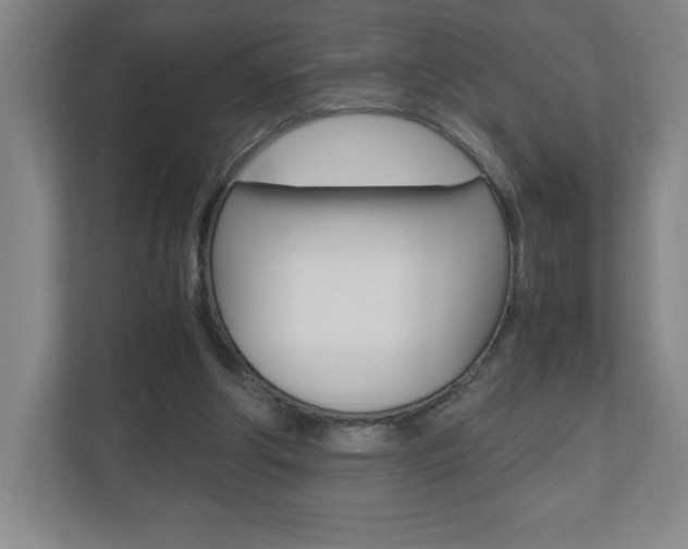 X0000110910202200906181013