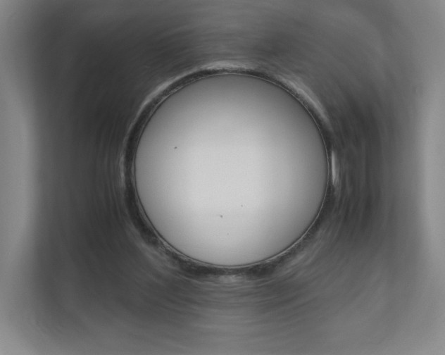 X0000110910204200906181013