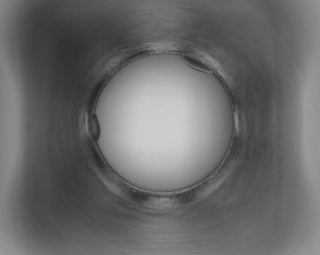 X0000110910205200906181013
