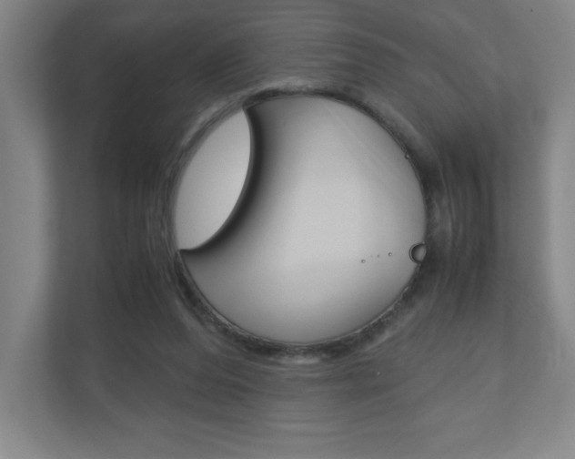 X0000110910208200906181013