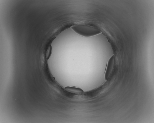 X0000110910211200906181012