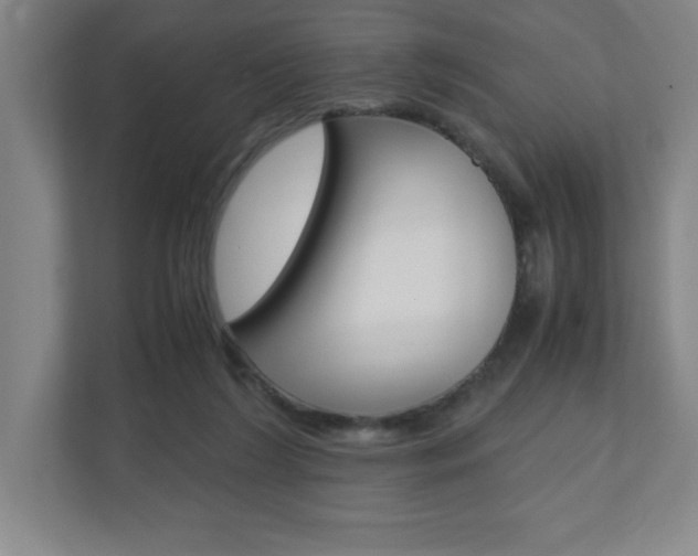 X0000110910212200906181012