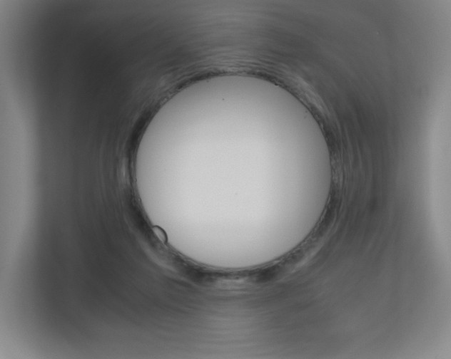 X0000110910213200906181012