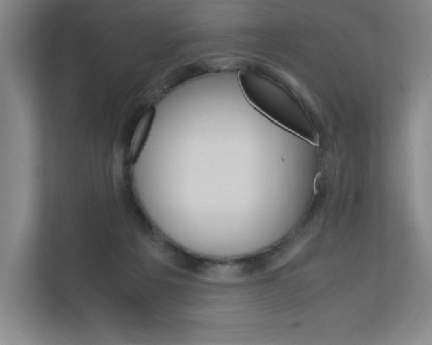 X0000110910217200906181012