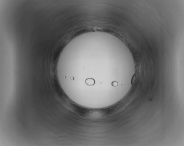 X0000110910218200906181012