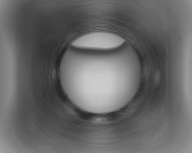 X0000110910220200906181012