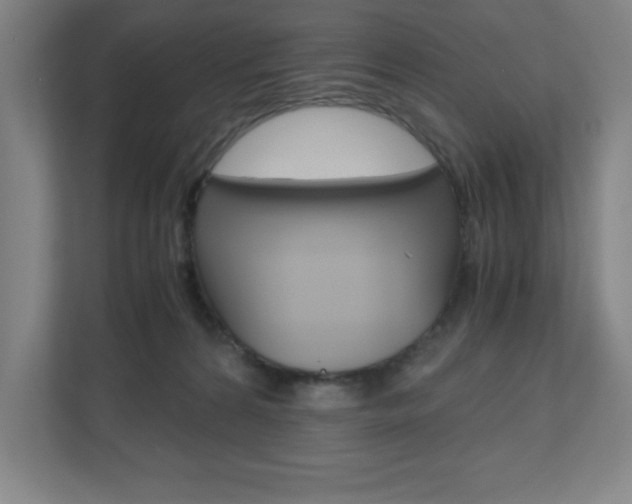 X0000110910224200906181012