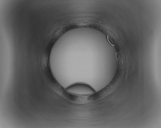 X0000110910227200906181012