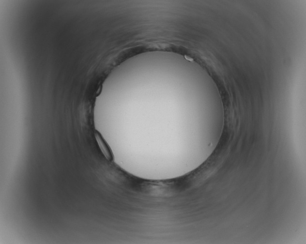 X0000110910229200906181012