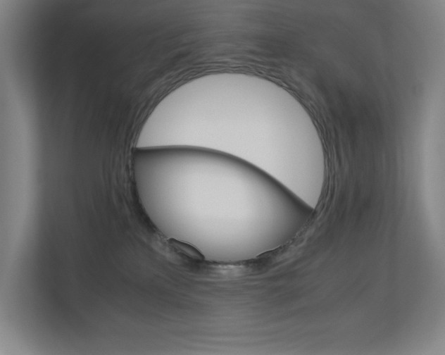 X0000110910233200906181012