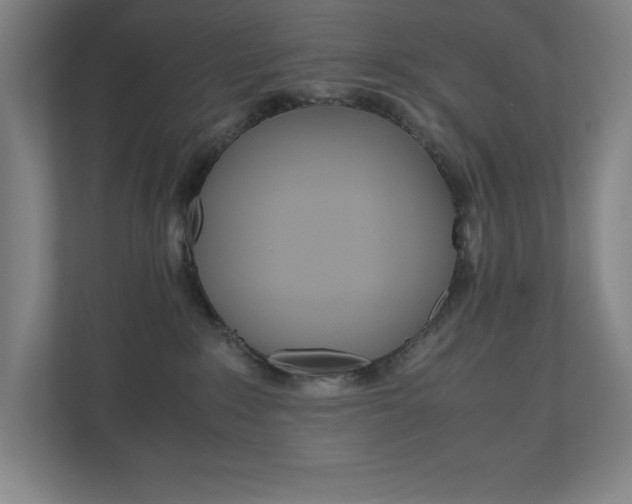 X0000110910235200906181012