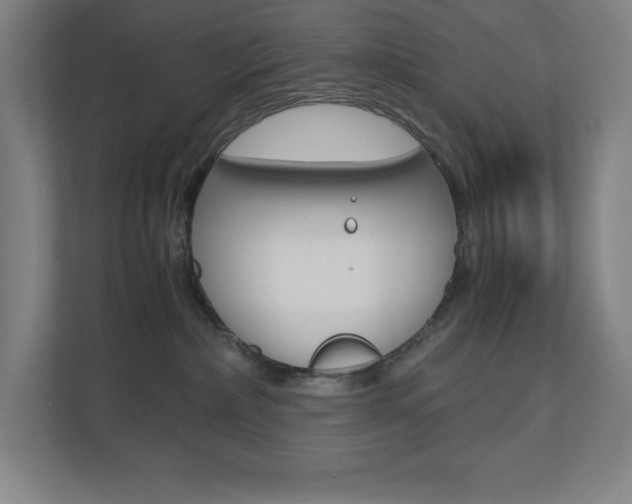 X0000110910236200906181012