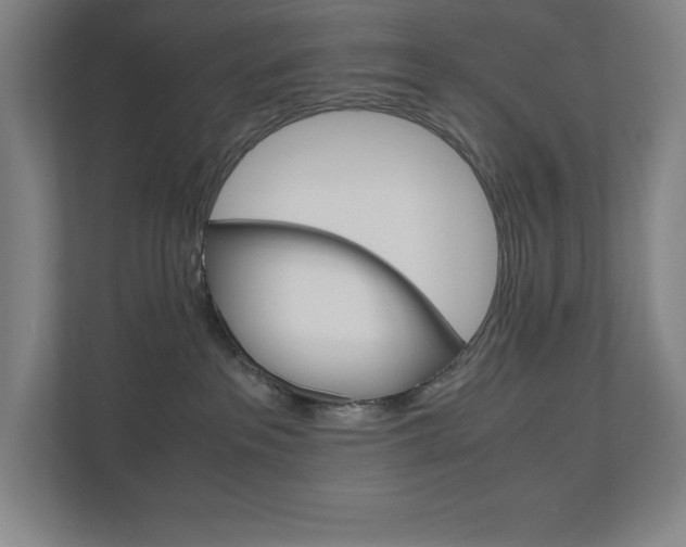 X0000110910237200906181012