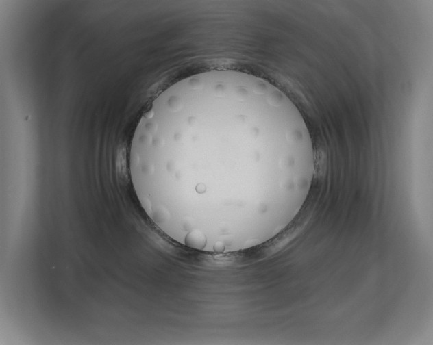 X0000110910238200906181012