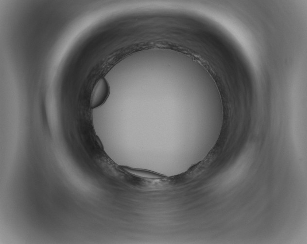 X0000110910239200906181012