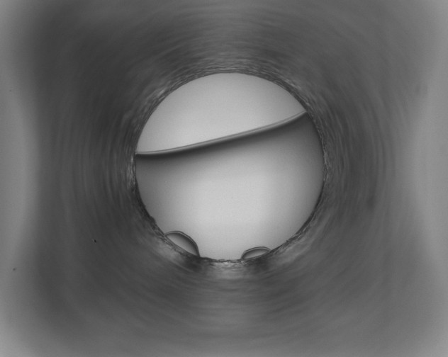 X0000110910240200906181012