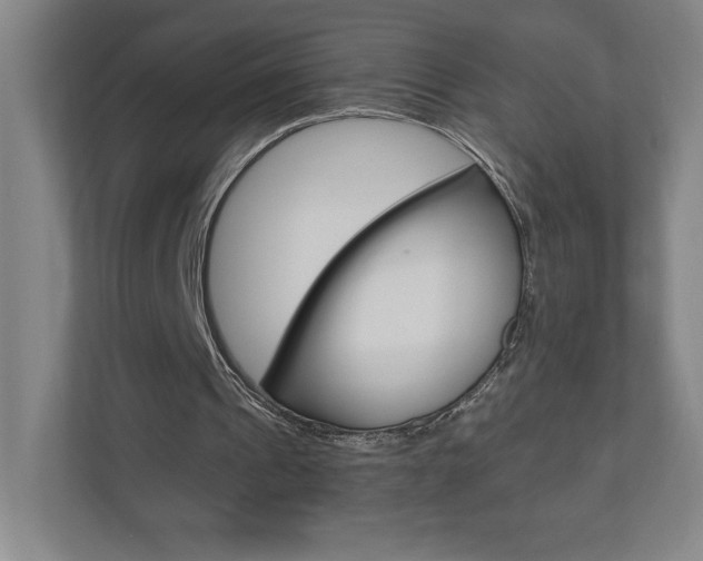 X0000110910241200906181011